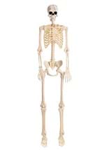 Poseable Frankenstein Skeleton Decoration