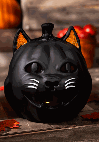 Vintage Black Cat Light Up Jack O Lantern Decoration